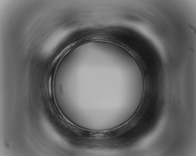 X0000103471054200809121115