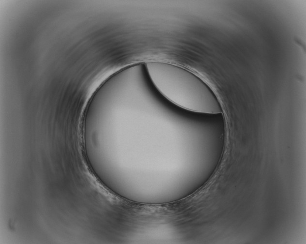 X0000103471056200809121115