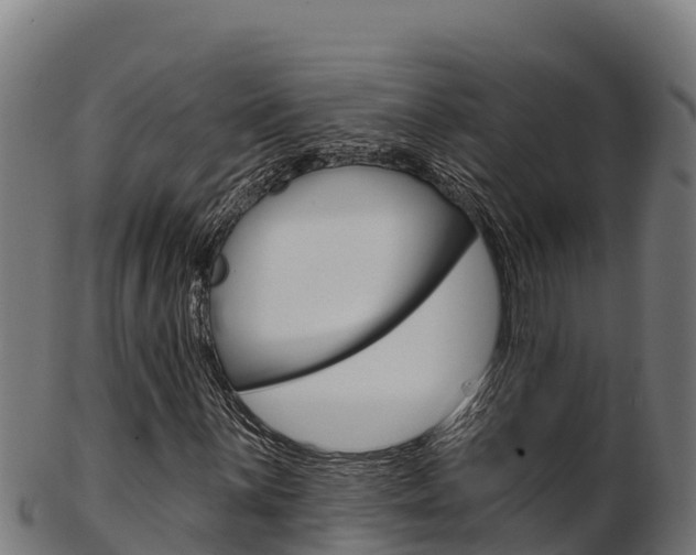 X0000103471059200809121115