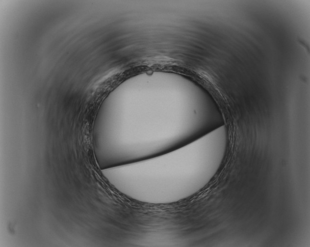 X0000103471063200809121115