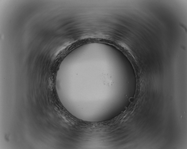 X0000103471064200809121115