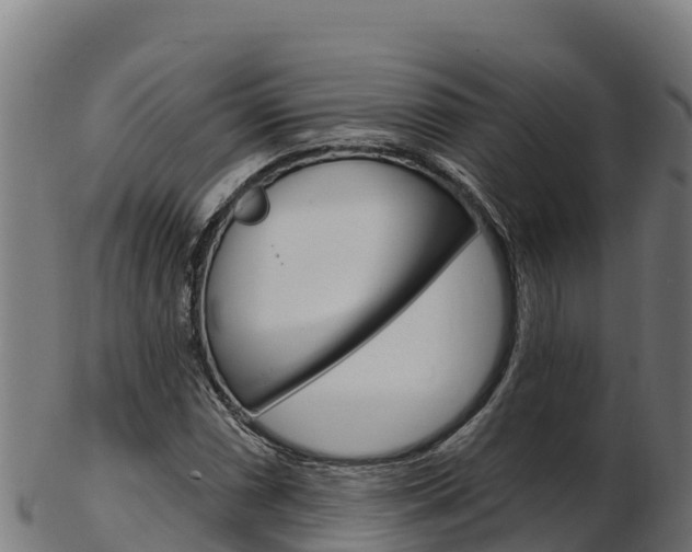 X0000103471066200809121115