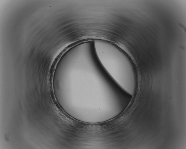 X0000103471068200809121115
