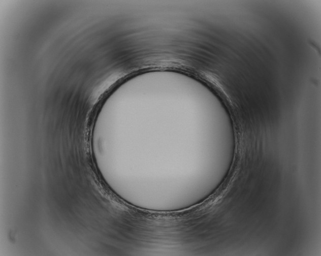 X0000103471071200809121115