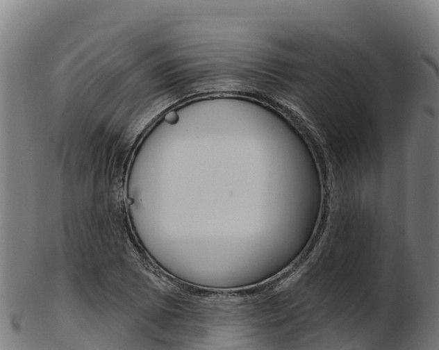 X0000103471073200809121115