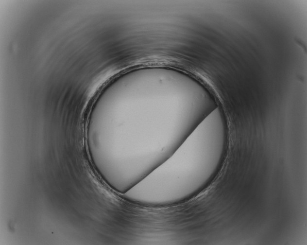 X0000103471075200809121115
