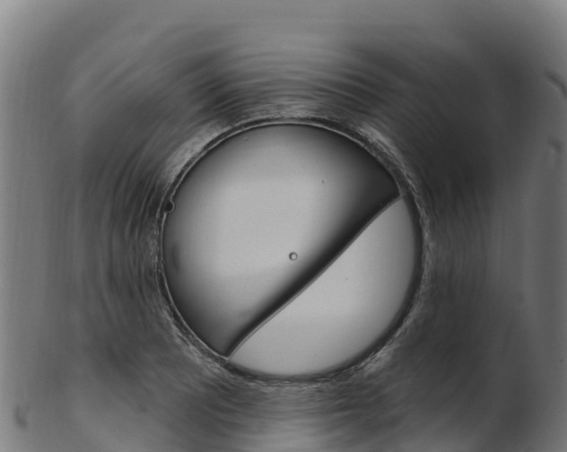 X0000103471081200809121114