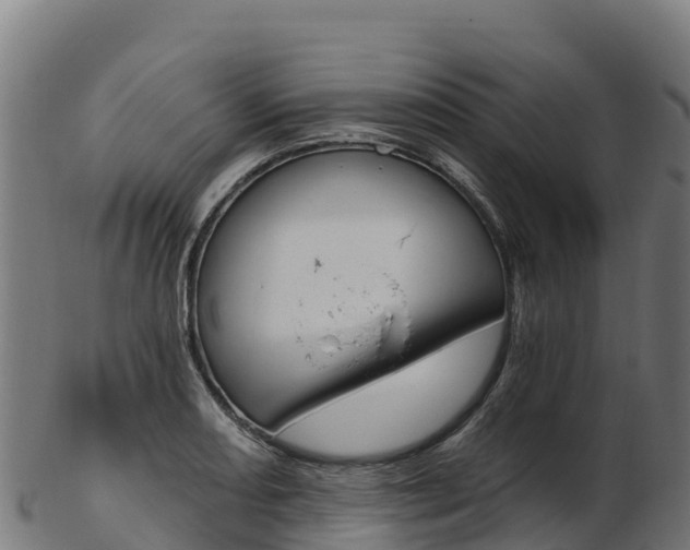 X0000103471082200809121114
