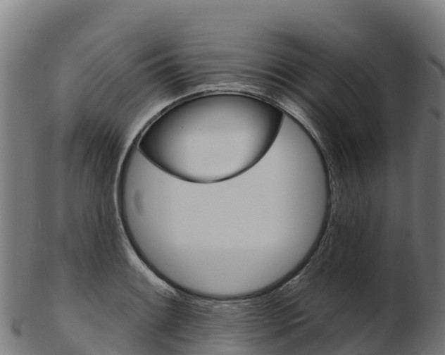 X0000103471084200809121114