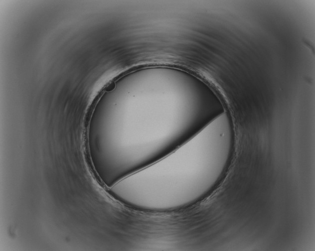 X0000103471085200809121114