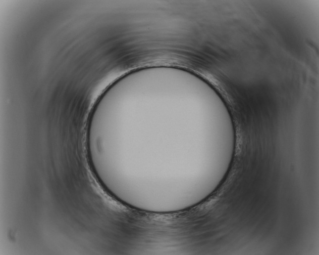 X0000103471086200809121114