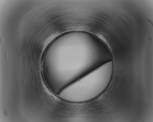 X0000103471088200809121114