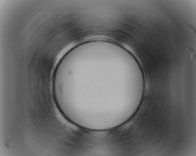 X0000103471090200809121114