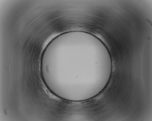 X0000103471094200809121114