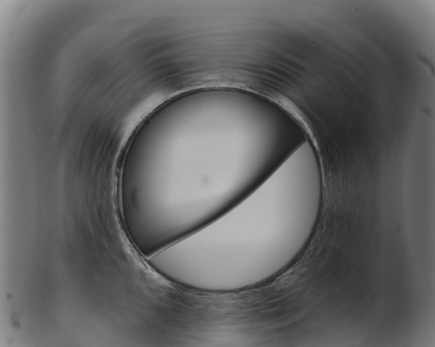 X0000103471096200809121114