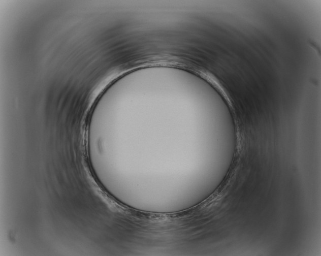 X0000103471099200809121114