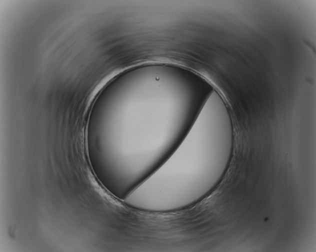 X0000103471100200809121114