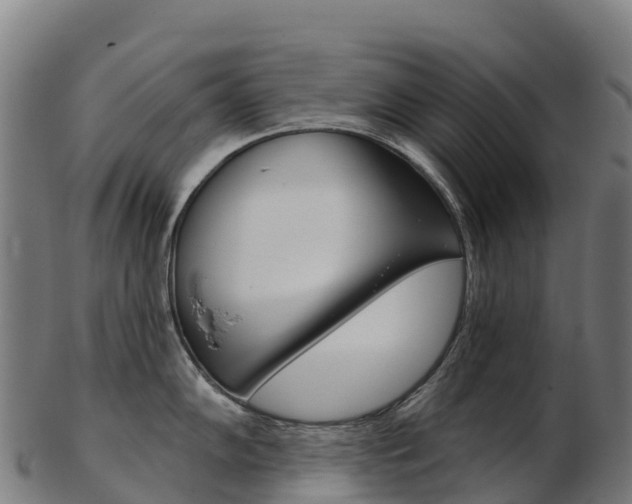 X0000103471102200809121114
