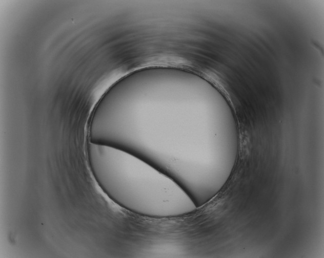 X0000103471103200809121114