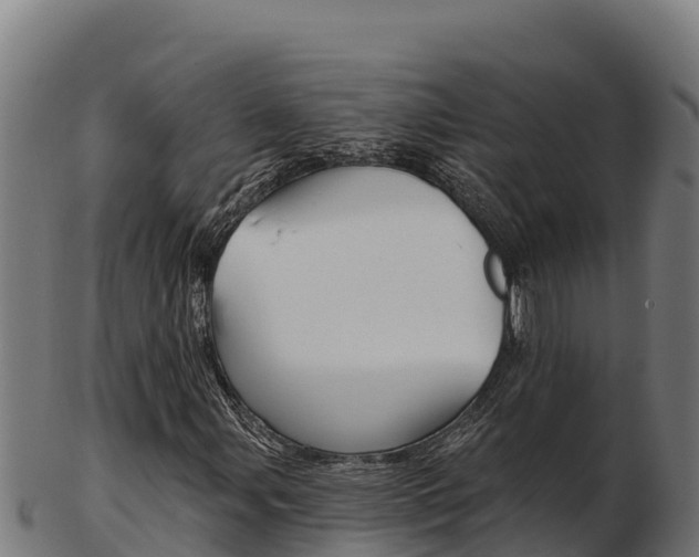 X0000103471107200809121113