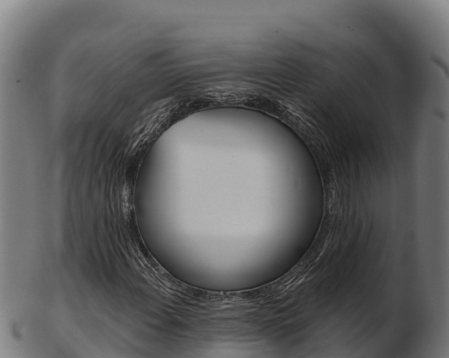 X0000103471108200809121114