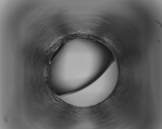 X0000103471110200809121114