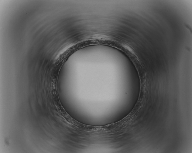X0000103471112200809121114