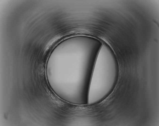 X0000103471115200809121114
