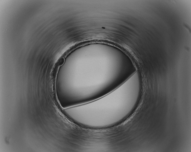 X0000103471118200809121114
