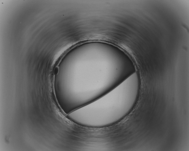 X0000103471120200809121114