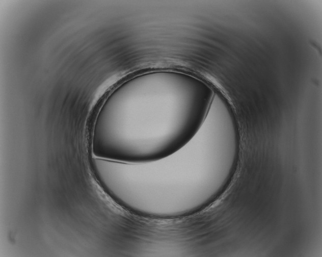 X0000103471122200809121114