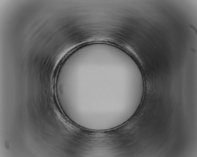 X0000103471124200809121114