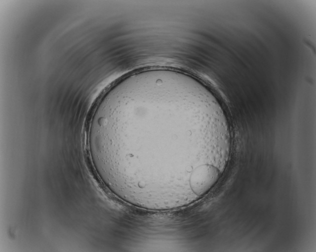 X0000103471125200809121114