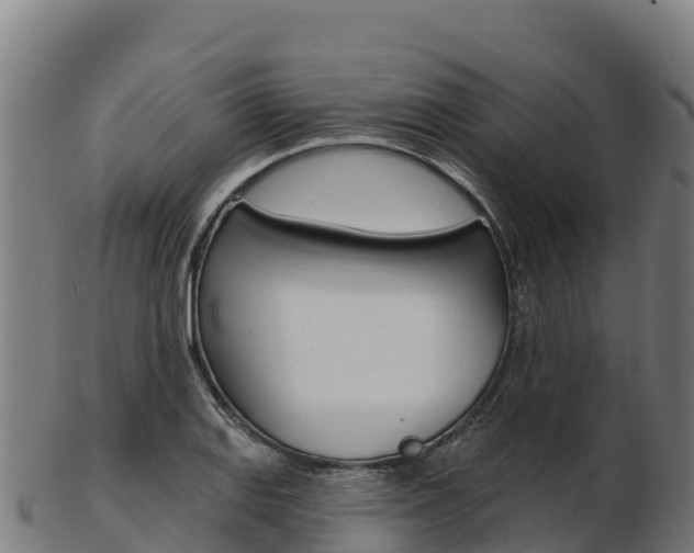 X0000103471127200809121114