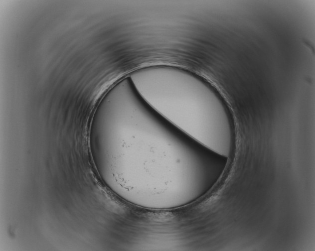X0000103471129200809121114