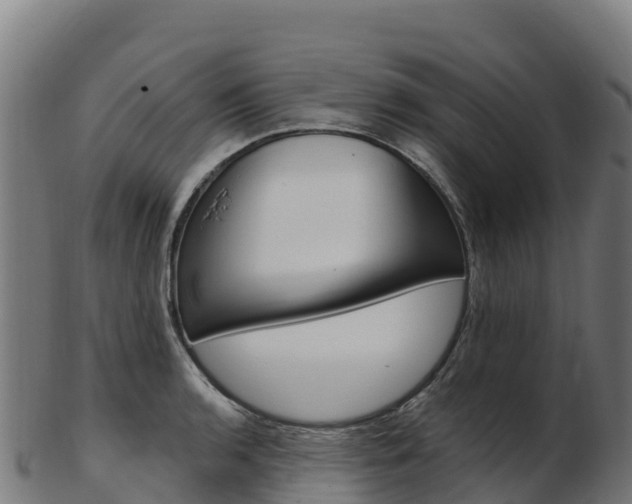 X0000103471136200809121114