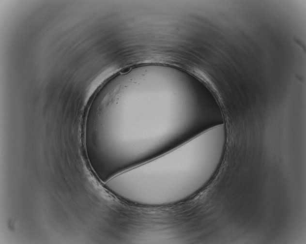 X0000103471138200809121114