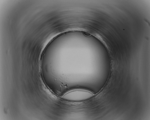X0000103471140200809121114