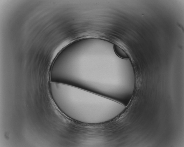 X0000103471146200809121114