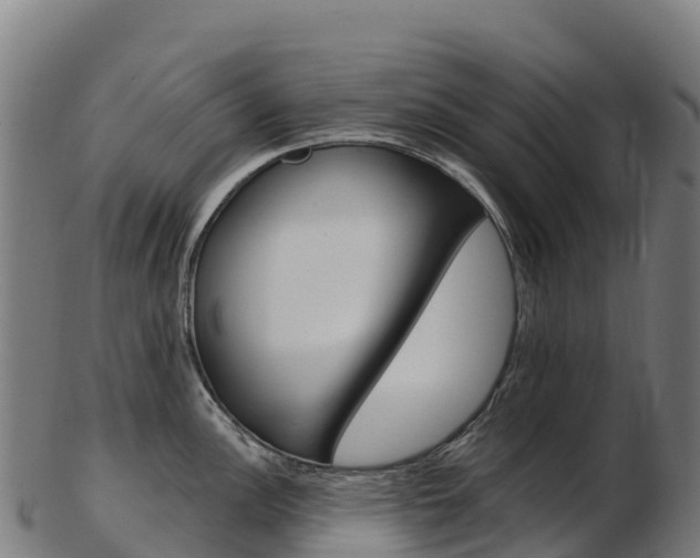 X0000103471148200809121114