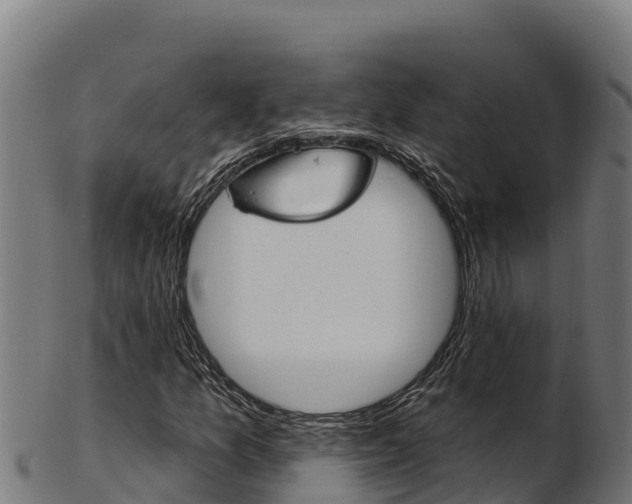 X0000103471157200809121113
