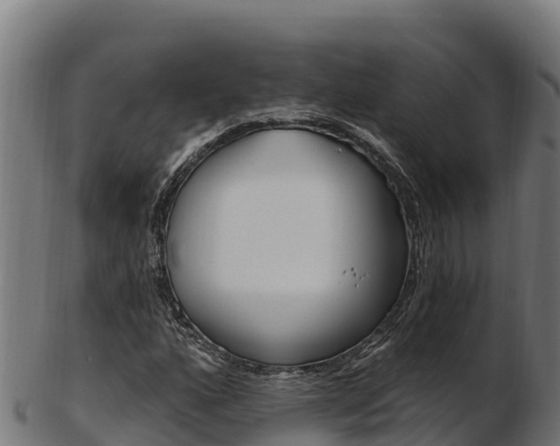 X0000103471160200809121113