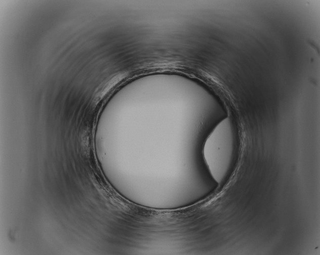 X0000103471162200809121113