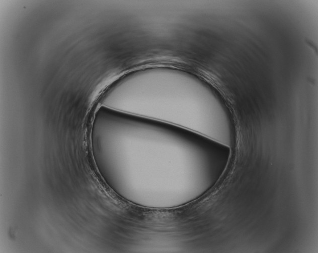 X0000103471164200809121113