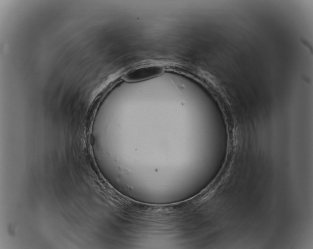 X0000103471165200809121113