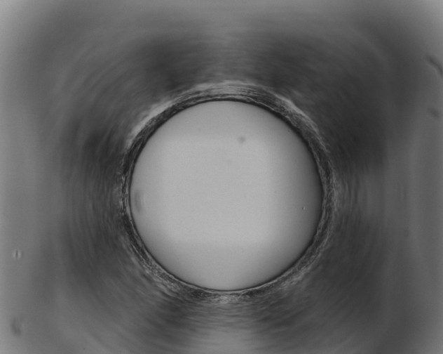 X0000103471166200809121113
