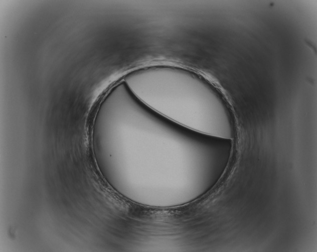 X0000103471167200809121113