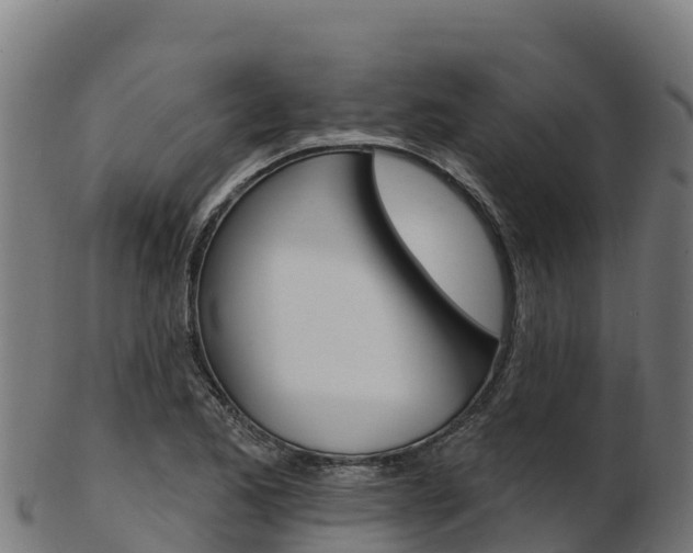 X0000103471173200809121113