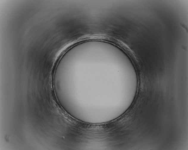 X0000103471174200809121113