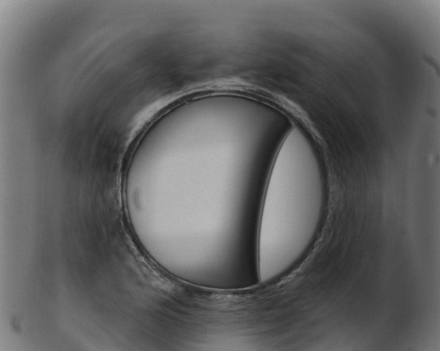 X0000103471176200809121113